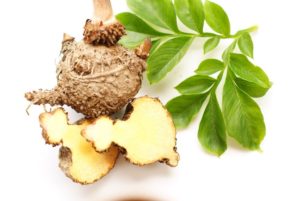 Glucomannan - Fat Burner